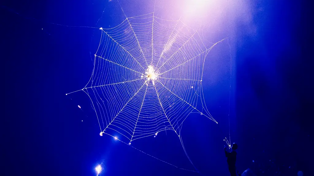 Araña negra como advertencia energética