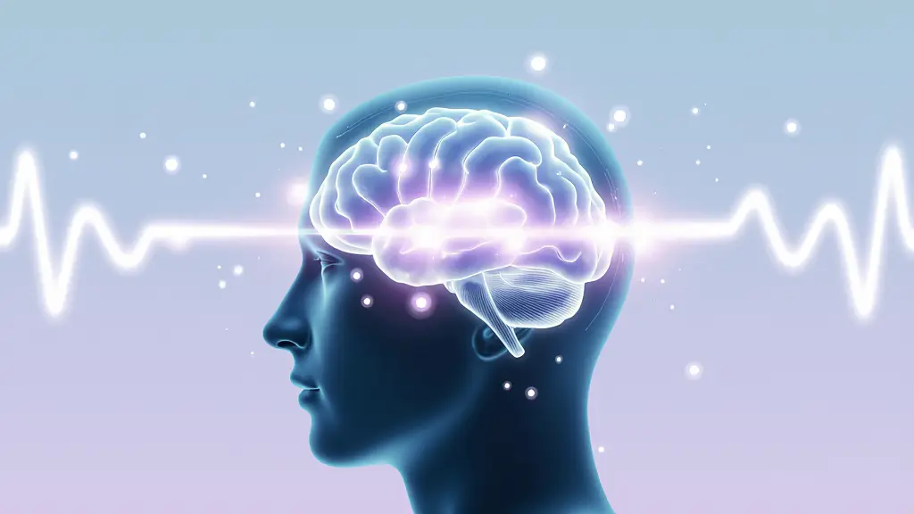 Transición WILD al sueño lúcido